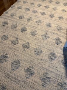 IMG_8649