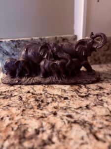 IMG_8844