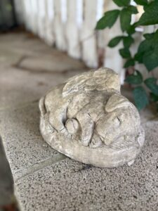 IMG_0139