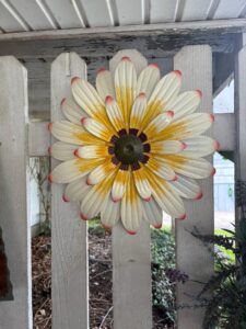 IMG_0155