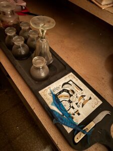 IMG_5541