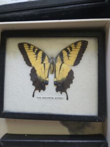 01a06996-9bcc-7661-8e5f-d2c9f6d4256d