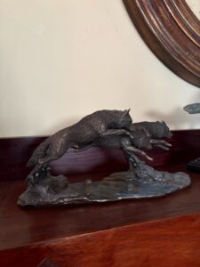 IMG_2557