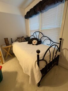 IMG_5946