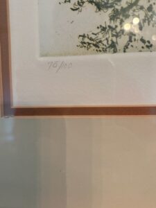 IMG_6046