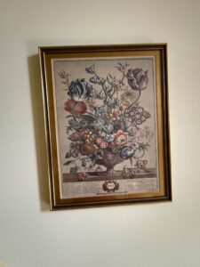 IMG_6109-1