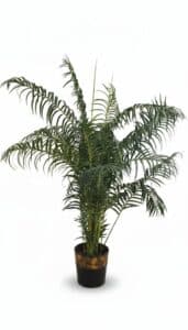 Artificial-Areca-Palm-Plant-in-Decorative-Pot