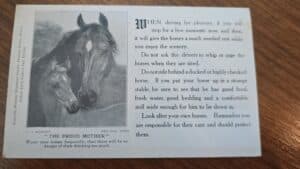 American-Humane-Education-Society-The-Proud-Mother-Postcard-by-T.-J.-Murphy