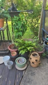 Assorted-Plant-Pots-and-Planters