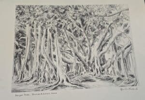 Banyan-Tree-Thomas-A.-Edison-Home-by-Rose-C.-Parker