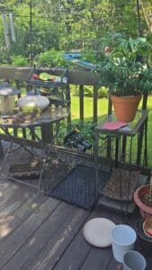Metal-Folding-Dog-Crate