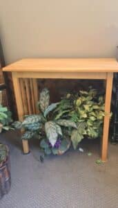 Wooden-Console-Table-with-Decorative-Planters-and-Ceramic-Figurines