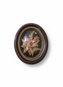 K-Gold-Dipped-Hawaiian-Fern-Orchid-Floral-Shadow-Box