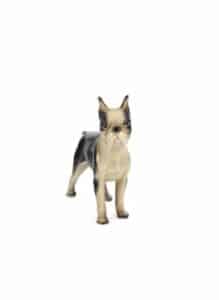 Vintage-Porcelain-Boston-Terrier-Figurine-Made-in-Japan