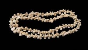 Vintage-Hawaiian-Snail-Shell-Lei