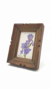 Original-Oil-Painting-of-Irises-by-Marjorie