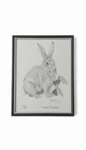 Tamara-Chambers-Limited-Edition-Rabbit-Print