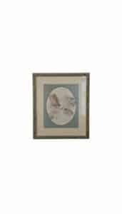 Vintage-Bird-Lithograph-Prints-by-Margie-Morrow