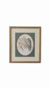 Vintage-Woodpecker-Print-in-Ornate-Gilt-Frame