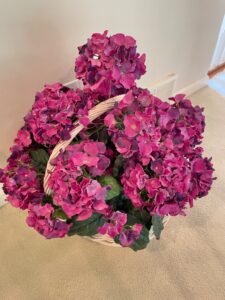 IMG_3380