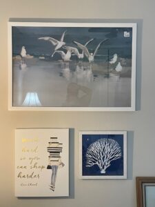 IMG_4246