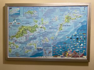 IMG_4922-1