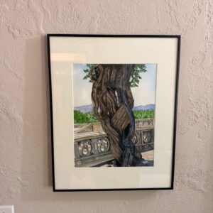 IMG_0098
