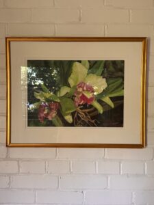 IMG_1845-1