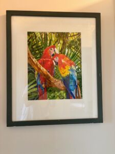 IMG_1979-1