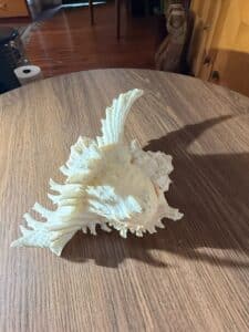 083E4252-CFC1-4230-891D-520872D3F9A9_1_105_c