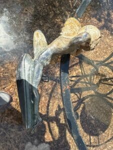 11A248B8-F77B-4869-8F02-06C74438C5F1_1_105_c