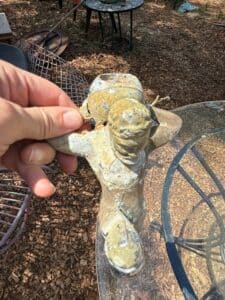 1969F59F-9219-4FFD-B879-F1112CD97E29_1_105_c