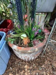 381C39F4-B2C9-4F73-A801-F2A2A281BD11_1_105_c