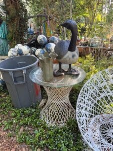 395C57F9-84F4-4FA2-9521-8539B7A620FB_1_105_c