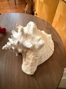 3EB85B15-FFD2-432D-B276-CF080B67B3E2_1_105_c