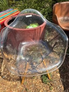 4038C244-F463-4E51-9C7D-41F0B48343C9_1_105_c