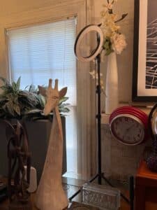 404C04E8-3D41-45D7-B959-00903F189C33_1_105_c