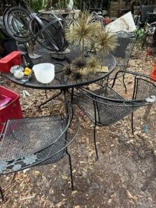 56044841-5D94-426C-B1BA-0CA8FFE1FD3C_1_105_c