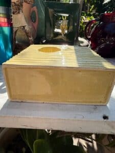 6A2E1EF7-00A9-44BD-8E52-D6746BA4792D_1_105_c