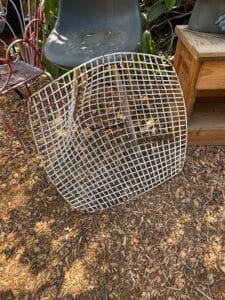 6E256D68-5994-41B0-9506-A58FA39DD60E_1_105_c