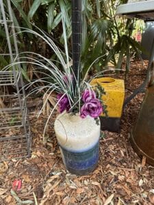 70CD35A5-2883-4CAB-9955-A097D1E42423_1_105_c