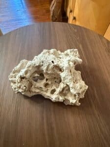 7D99E766-1B94-41B0-B191-CF184ED88EF9_1_105_c