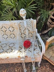 81075F39-FCE6-42A3-9573-602F6547F453_1_105_c