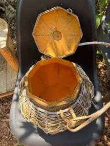 8159FA40-BFD1-4266-BA45-74E09A202952_1_105_c