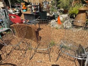 8E5F733E-B359-4217-B02B-4429B7F020E2_1_105_c