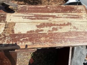 936314A8-EF19-42A2-826D-0943C2EA68E7_1_105_c