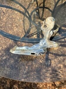 B9E50809-E562-41A1-B6B0-4CB34B932260_1_105_c