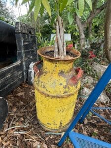 CB624B56-E0B1-4B04-9587-26506299EC72_1_105_c