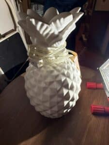 CE824A88-C78F-46D8-A3E5-2FF917F5C300_1_105_c