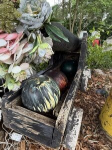 D3922A4E-5917-478A-B1E1-E2EF11FE3848_1_105_c